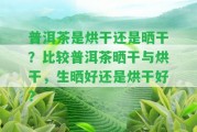 普洱茶是烘干還是曬干？比較普洱茶曬干與烘干，生曬好還是烘干好？