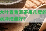 大葉青普洱茶用幾度的水沖泡最好？