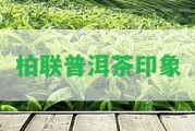 柏聯(lián)普洱茶印象