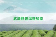 武清熟普洱茶加盟