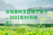 冰島茶樹(shù)王在哪個(gè)寨子，2021年99萬(wàn)拍賣(mài)！