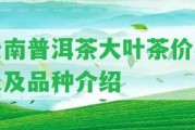 云南普洱茶大葉茶價格表及品種介紹