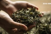 最貴的茶葉十大排名多少錢一斤、一盒？排行榜前十名