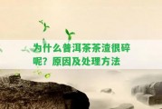 為什么普洱茶茶渣很碎呢？起因及解決方法