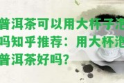 普洱茶可以用大杯子泡嗎知乎推薦：用大杯泡普洱茶好嗎？