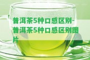 普洱茶5種口感區別-普洱茶5種口感區別圖片