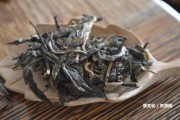 普洱熟茶過期怎樣解決？能否喝？