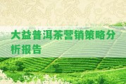 大益普洱茶營(yíng)銷策略分析報(bào)告