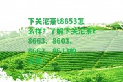 下關(guān)沱茶t8653怎么樣？熟悉下關(guān)沱茶t8663、8603、8663、8613的品質(zhì)！