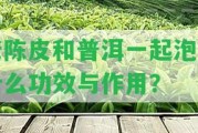 老陳皮和普洱一起泡有什么功效與作用？