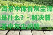 普洱茶中像有灰塵漂浮的是什么？- 解決普洱茶中灰塵疑問