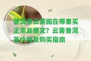 普洱茶云霧園在哪里買正宗且便宜？云霧普洱茶價(jià)格及購買指南