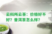 云科所云茶：價格好不好？普洱茶怎么樣？