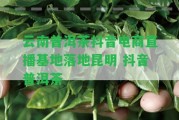 云南普洱茶抖音電商直播基地落地昆明 抖音普洱茶