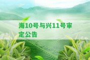 海10號與興11號審定公告