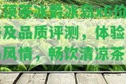 嵩頂茶冰爵冰島x6價格及品質(zhì)評測，體驗(yàn)冰島風(fēng)情，暢飲清涼茶飲！