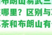 冰島布朗山易武三大茶區(qū)在哪里？區(qū)別與冰島普洱茶和布朗山有什么？