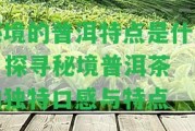 秘境的普洱特點是什么 - 探尋秘境普洱茶的特別口感與特點