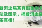 普洱蟲(chóng)屎茶真假鑒別方法及圖示，揭普洱蟲(chóng)屎茶真相！