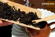 普洱茶玩法攻略：怎樣玩轉(zhuǎn)普洱茶？