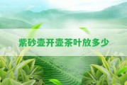 紫砂壺開壺茶葉放多少