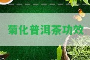 菊化普洱茶功效