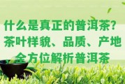 什么是真正的普洱茶？茶葉樣貌、品質(zhì)、產(chǎn)地，全方位解析普洱茶