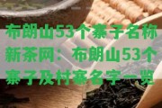 布朗山53個(gè)寨子名稱(chēng)新茶網(wǎng)：布朗山53個(gè)寨子及村寨名字一覽