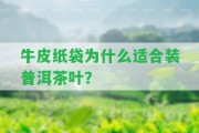 牛皮紙袋為什么適合裝普洱茶葉？