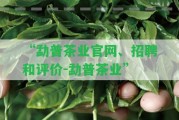 “勐普茶業(yè)官網(wǎng)、招聘和評價-勐普茶業(yè)”