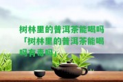 樹林里的普洱茶能喝嗎「樹林里的普洱茶能喝嗎有毒嗎」