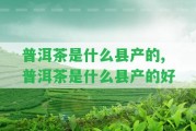 普洱茶是什么縣產(chǎn)的,普洱茶是什么縣產(chǎn)的好