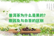 普洱茶為什么是黑的？起因及與白茶的區(qū)別