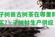 子樹田古樹茶在哪里購買？-子樹村生產(chǎn)供應