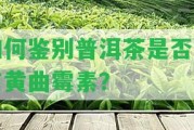 怎樣鑒別普洱茶是不是含有黃曲霉素？