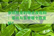 茶坑陳皮的特點及選購：茶坑與東甲哪個陳皮好？