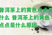 普洱茶上的黃色點(diǎn)點(diǎn)是什么 普洱茶上的黃色點(diǎn)點(diǎn)是什么起因