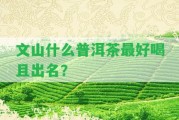 文山什么普洱茶最好喝且出名？