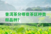 普洱茶分哪些茶區(qū)種類和品種？