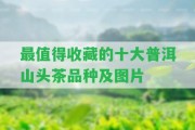 最值得收藏的十大普洱山頭茶品種及圖片