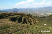 普洱茶揉捻工藝技術(shù)流程圖與視頻，詳解普洱茶揉捻工藝的步驟及要點