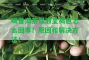 喝普洱茶尿液呈褐色怎么回事？起因和解決方法！