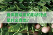 普洱做成瓜的形狀特點是什么意思？