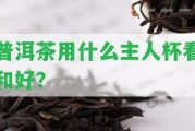 普洱茶用什么主人杯看和好？