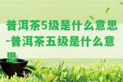 普洱茶5級是什么意思-普洱茶五級是什么意思