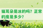 貓耳朵是冰的嗎？正常的度是多少？