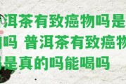 普洱茶有致癌物嗎是真的嗎 普洱茶有致癌物嗎是真的嗎能喝嗎