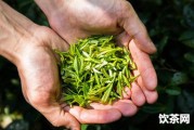 石家莊茶博會(huì)賣假普洱  河北石家莊茶博會(huì)