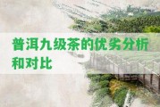 普洱九級茶的優(yōu)劣分析和對比