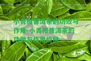 小青柑普洱茶的功效與作用-小青柑普洱茶的功效與作用價(jià)格